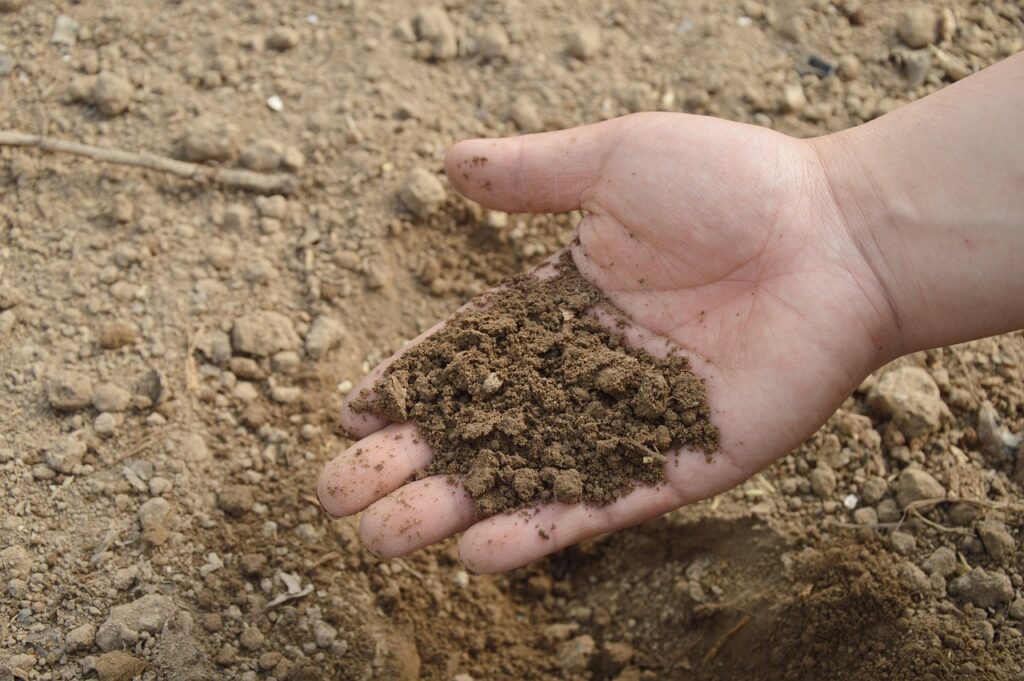 soil-hand-farm-766281 soil, hand, farm-766281.jpg